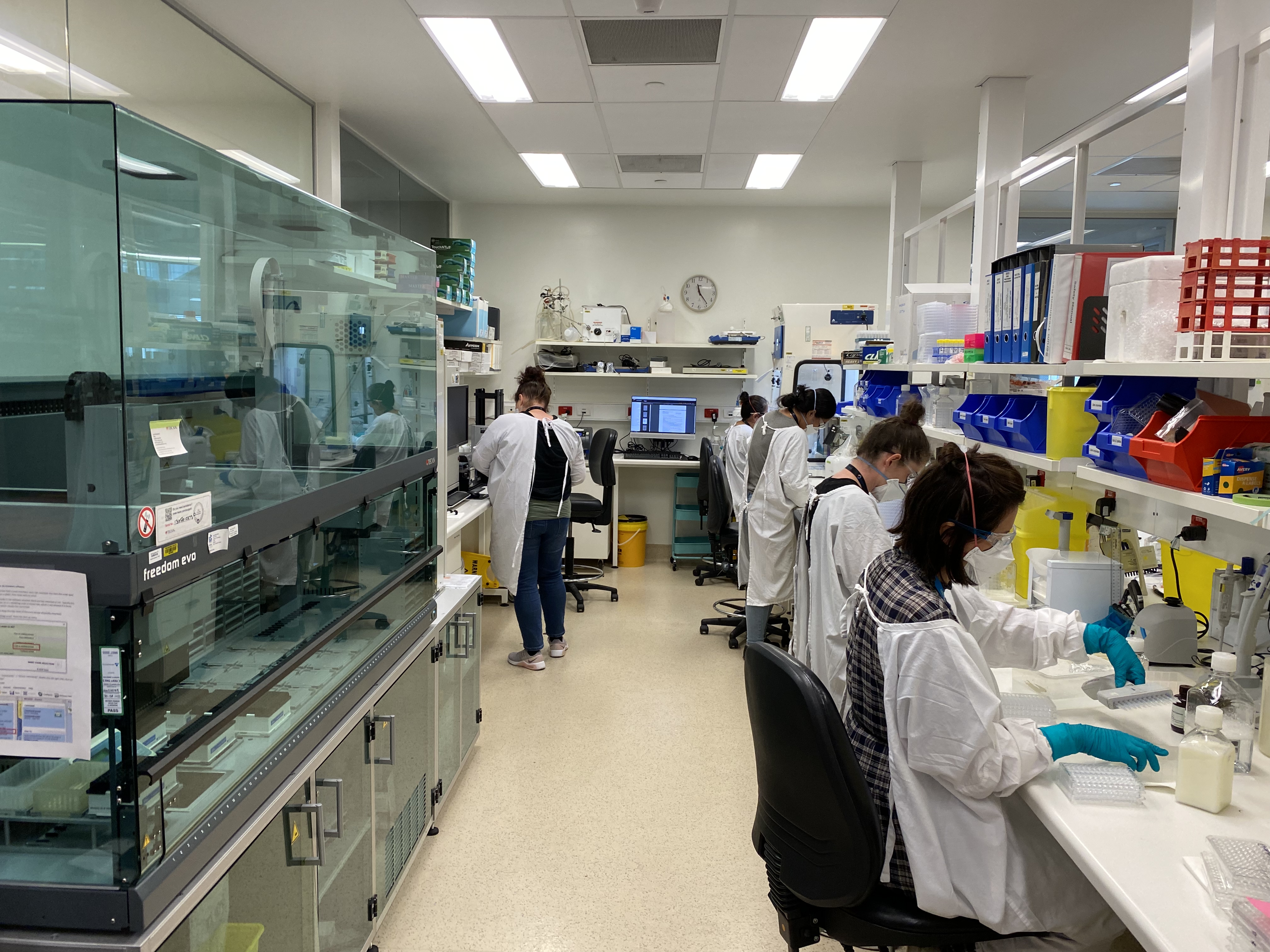 Lab samples